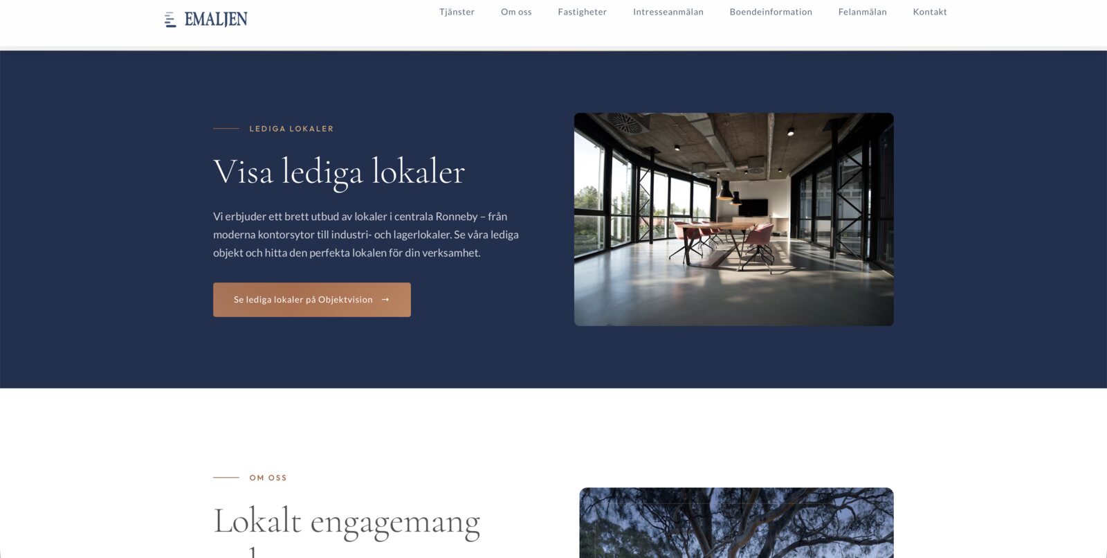 emaljen site — case hero