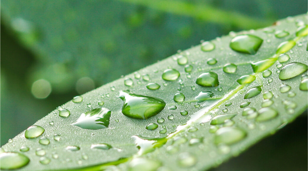 Närbild på vattendroppar på ett grönt blad — en lugn, medveten bild som speglar vårt arbetssätt.